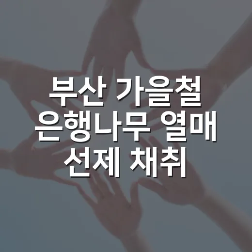 부산 가을철 은행나무 열매 선제 채취로 쾌적 보행로 조성