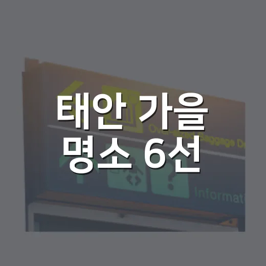 태안 가을 명소 6선, 신두리부터 만리포 노을까지