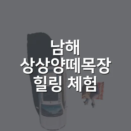 남해 상상양떼목장 힐링 체험