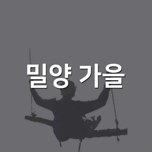 밀양 가을, 도시재생 마을축제의 추억