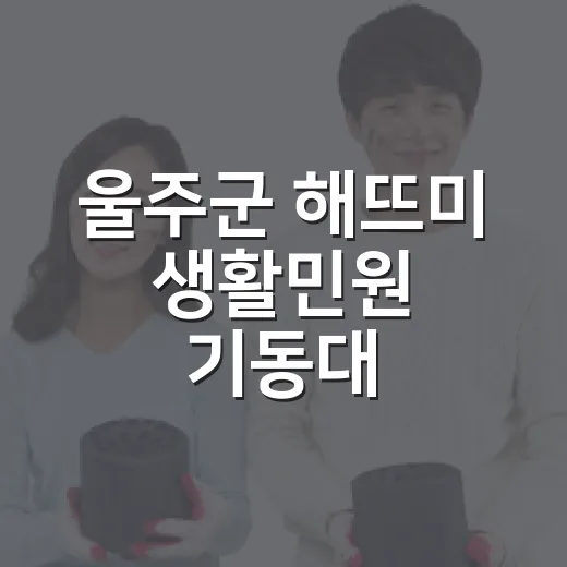 울주군 해뜨미 생활민원 기동대, 생활불편 해결사