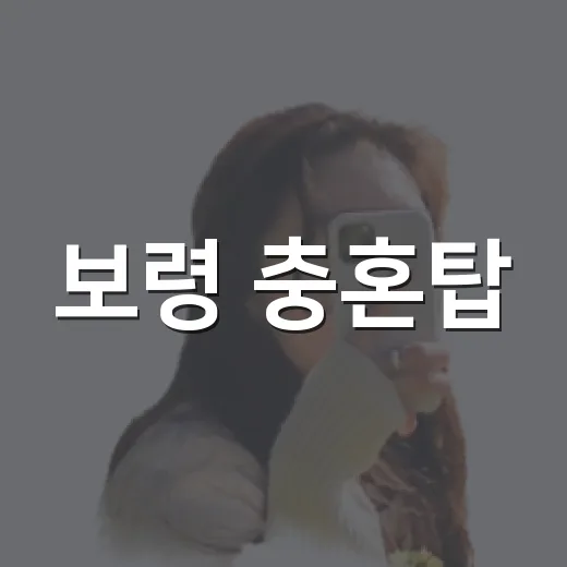 보령 충혼탑, 호국영령의 숭고한 기억