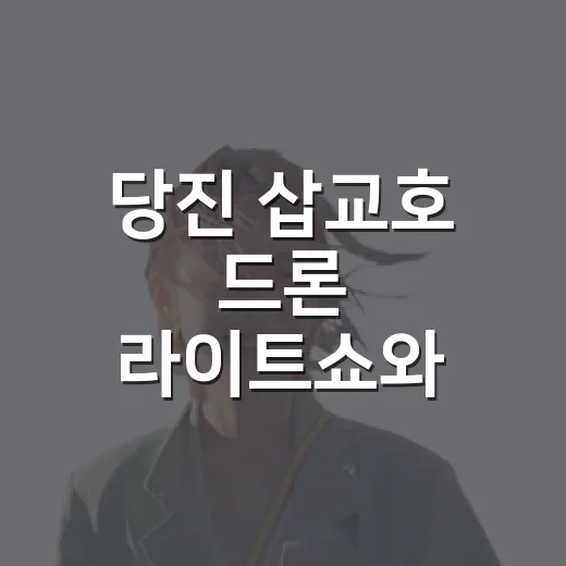 당진 삽교호 드론 라이트쇼와 체험부스 운영