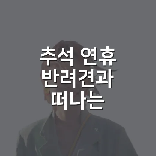 추석 연휴 반려견과 떠나는 전남광주 명소 5선