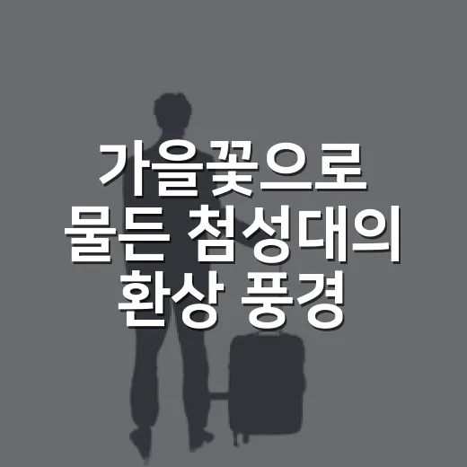 가을꽃으로 물든 첨성대의 환상 풍경