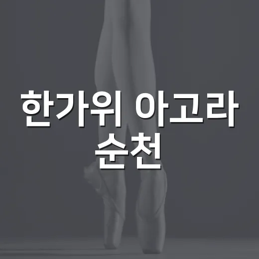 한가위 아고라 순천, 다채로운 공연의 향연