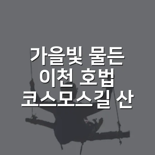 가을빛 물든 이천 호법 코스모스길 산책