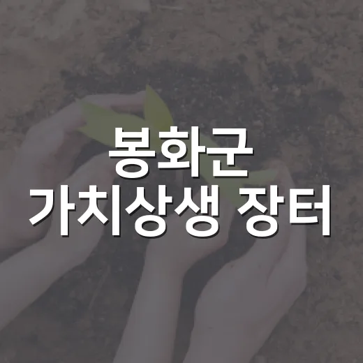 봉화군 가치상생 장터, 즐거움과 혜택 가득