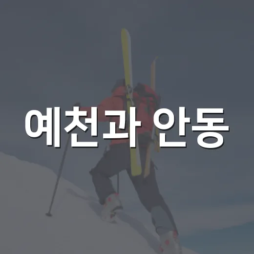 예천과 안동, 하나 된 가을밤의 체육 축제