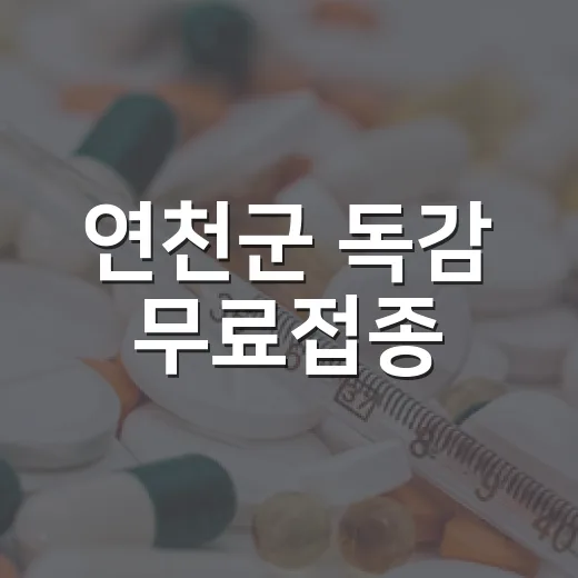 연천군 독감 무료접종, 대상별 일정 안내