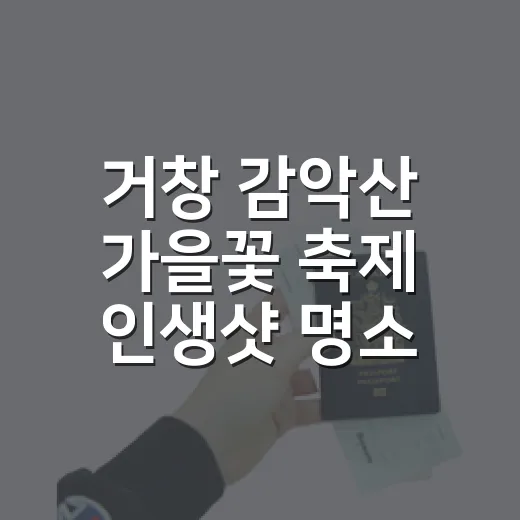 거창 감악산 가을꽃 축제 인생샷 명소