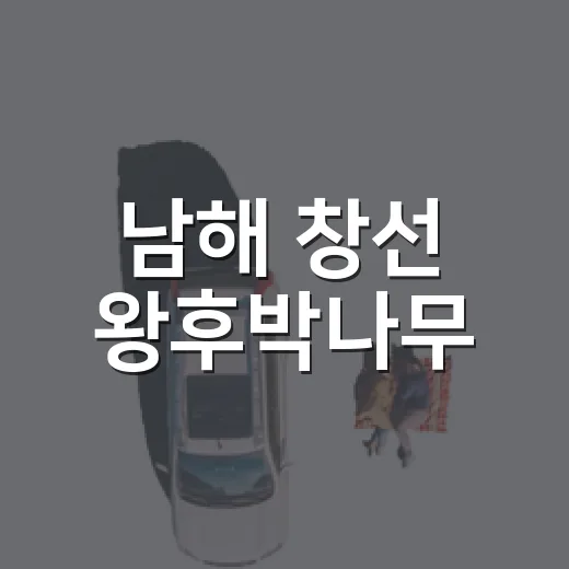 남해 창선 왕후박나무, 자연이 선사하는 힐링 명소