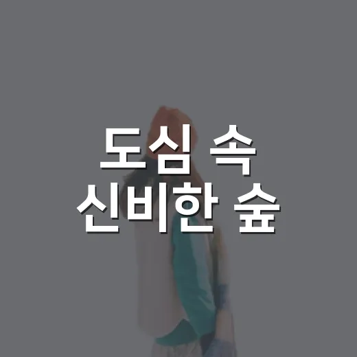 도심 속 신비한 숲, 연동 검은오름 산책