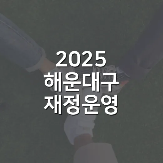 2025 해운대구 재정운영 한눈에