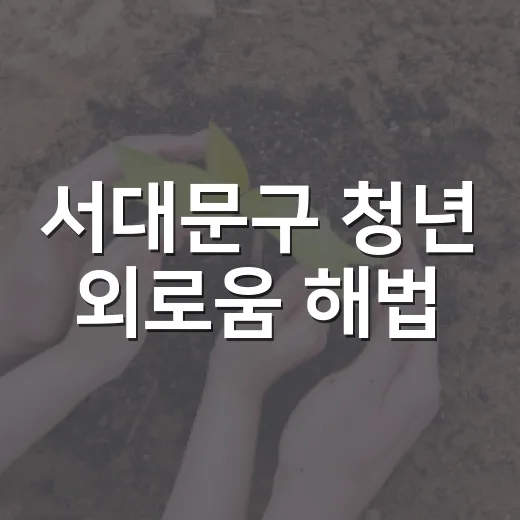 서대문구 청년 외로움 해법, 청년 스스로 찾다