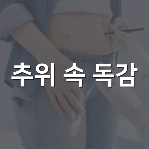추위 속 독감·코로나19 무료접종 안내