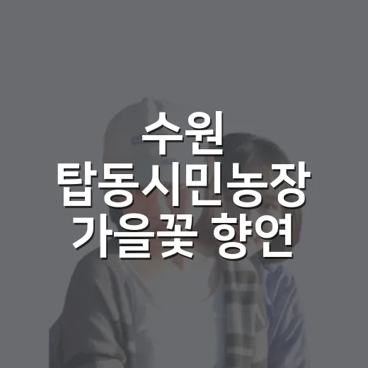 수원 탑동시민농장 가을꽃 향연