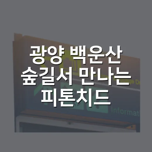 광양 백운산 숲길서 만나는 피톤치드 힐링