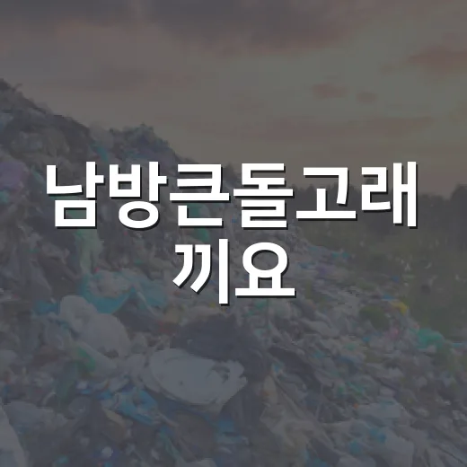 남방큰돌고래 끼요, 제주 바다의 수호자