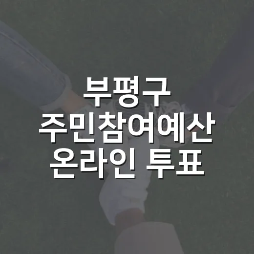 부평구 주민참여예산 온라인 투표 시작