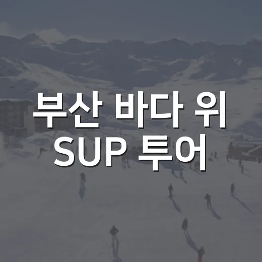 부산 바다 위 SUP 투어, 10월 4일 개최