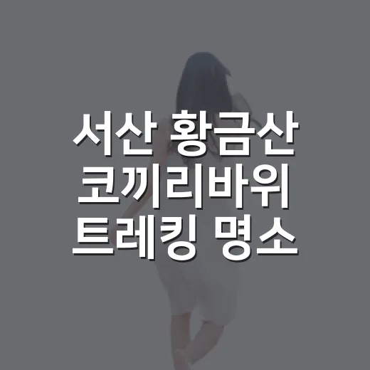 서산 황금산 코끼리바위 트레킹 명소