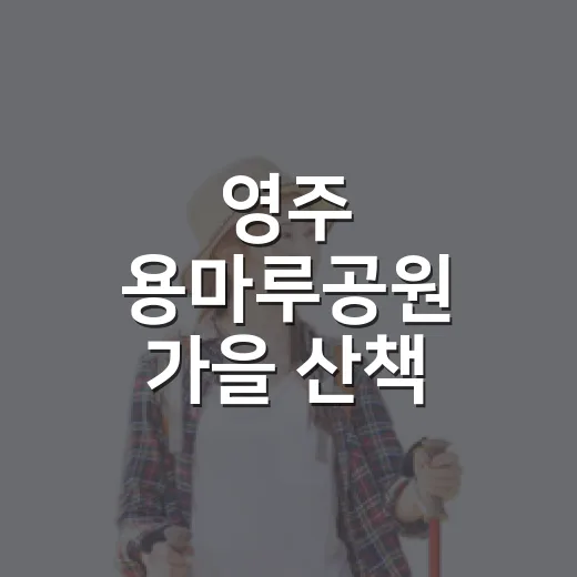 영주 용마루공원 가을 산책 명소