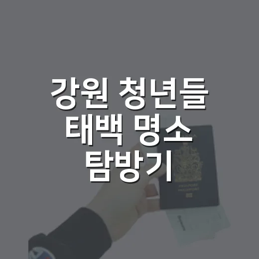 강원 청년들 태백 명소 탐방기