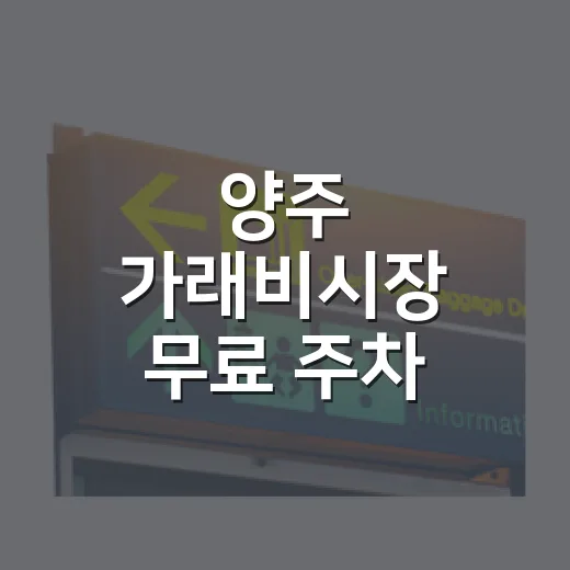 양주 가래비시장 무료 주차 완벽 가이드