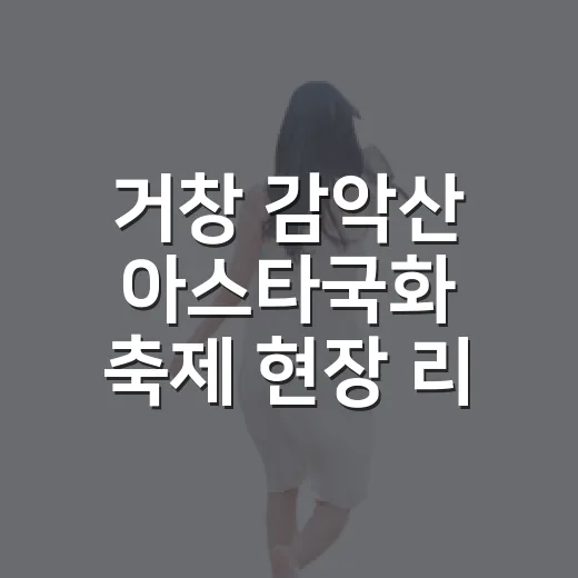 거창 감악산 아스타국화 축제 현장 리포트