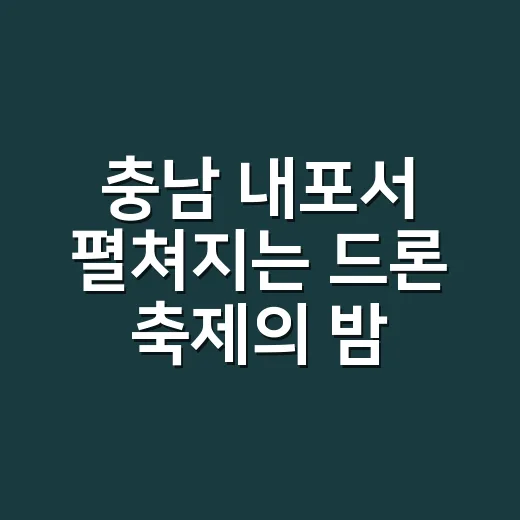 충남 내포서 펼쳐지는 드론 축제의 밤