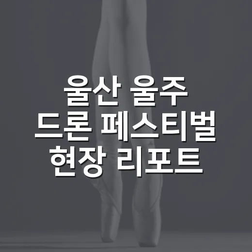 울산 울주 드론 페스티벌 현장 리포트