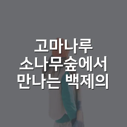 고마나루 소나무숲에서 만나는 백제의 숨결