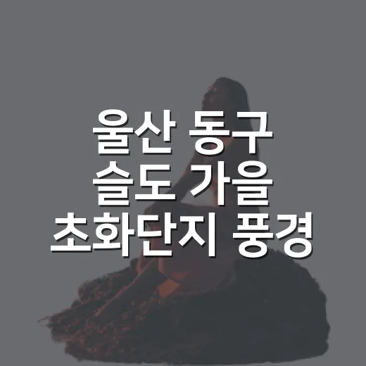 울산 동구 슬도 가을 초화단지 풍경