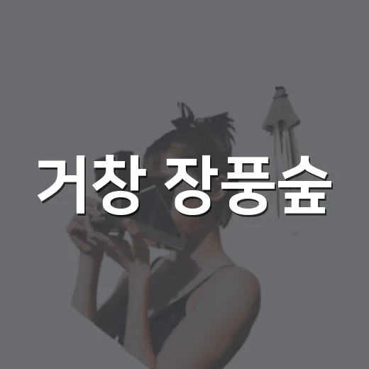거창 장풍숲, 선비의 숨결 담은 힐링 캠핑지