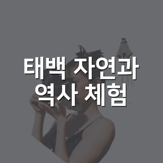 태백 자연과 역사 체험, 청년의 날 C코스 현장