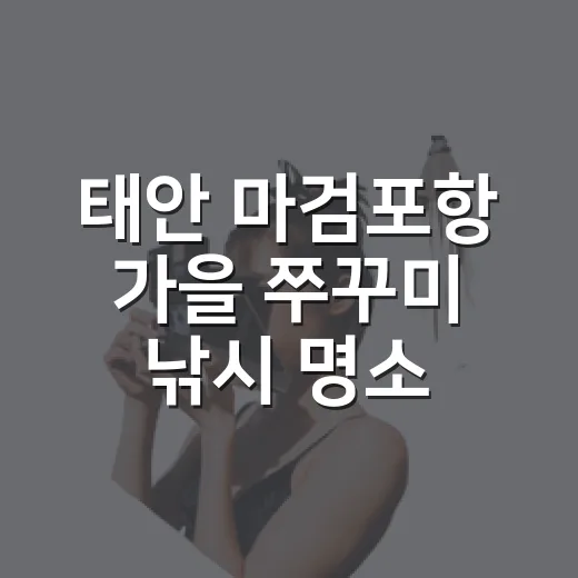 태안 마검포항 가을 쭈꾸미 낚시 명소