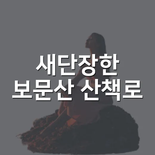 새단장한 보문산 산책로, 가을 산책 명소로 재탄생