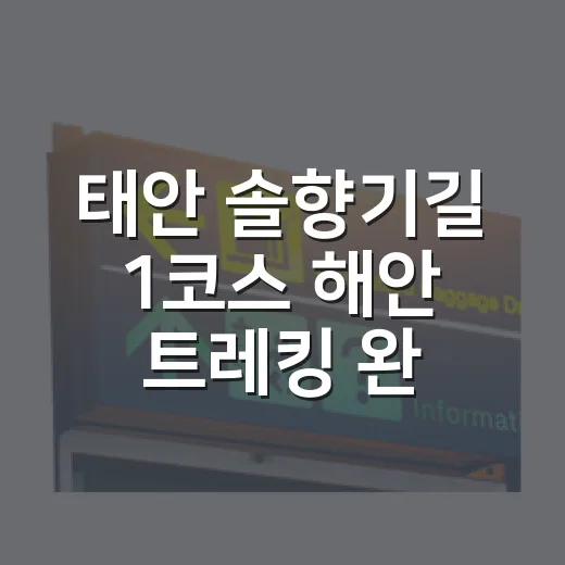 태안 솔향기길 1코스 해안 트레킹 완벽 가이드