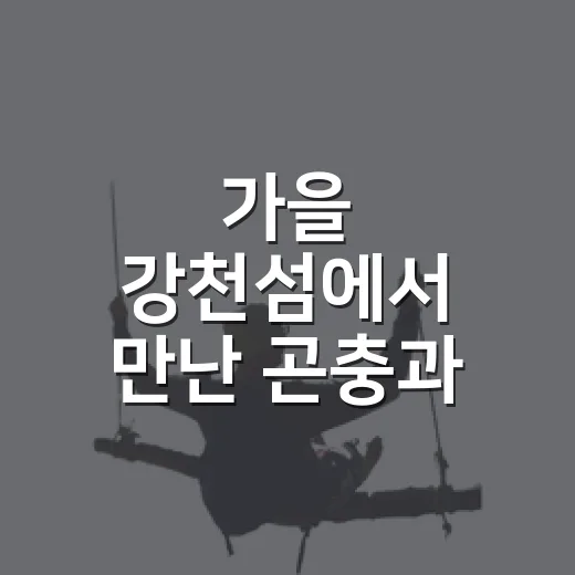 가을 강천섬에서 만난 곤충과 가족의 힐링