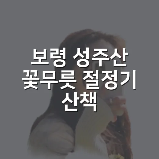 보령 성주산 꽃무릇 절정기 산책
