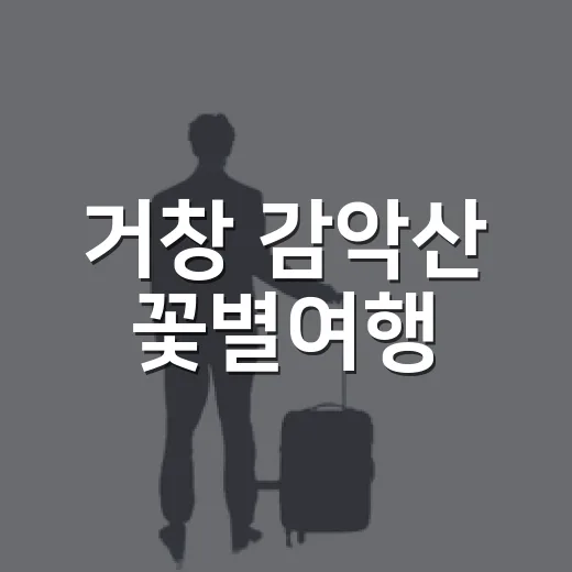 거창 감악산 꽃별여행, 보랏빛 아스타 국화 향연