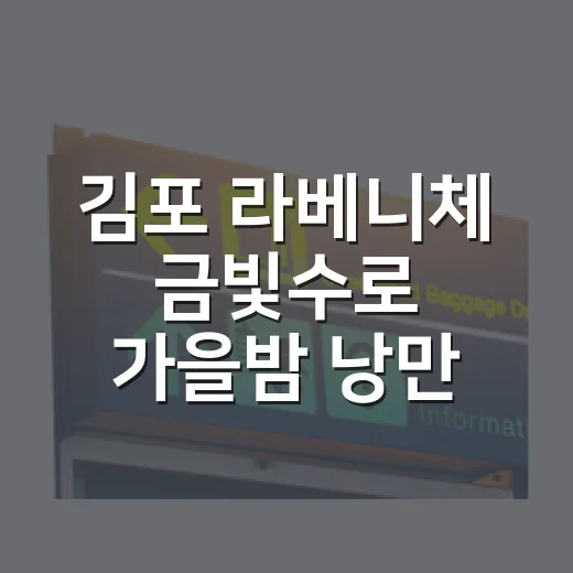 김포 라베니체 금빛수로 가을밤 낭만 산책