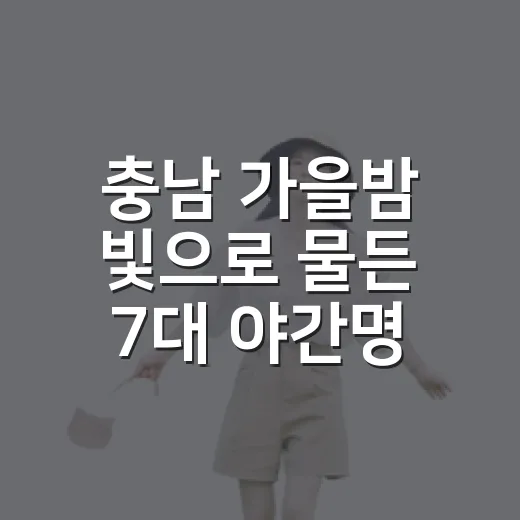 충남 가을밤 빛으로 물든 7대 야간명소
