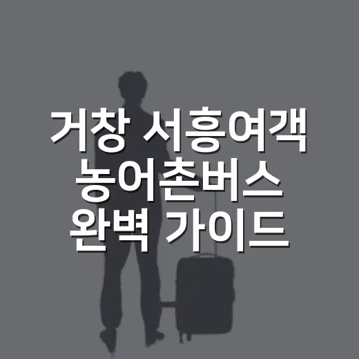 거창 서흥여객 농어촌버스 완벽 가이드