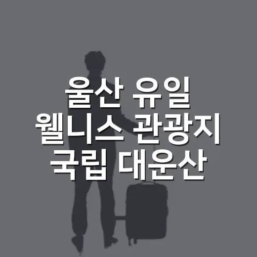 울산 유일 웰니스 관광지 국립 대운산 치유의 숲
