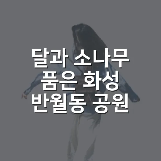 달과 소나무 품은 화성 반월동 공원 산책