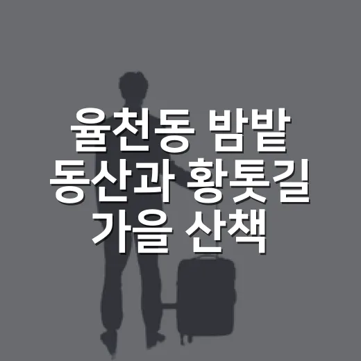 율천동 밤밭 동산과 황톳길 가을 산책