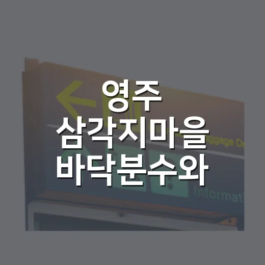 영주 삼각지마을 바닥분수와 도시숲 여름 피서지
