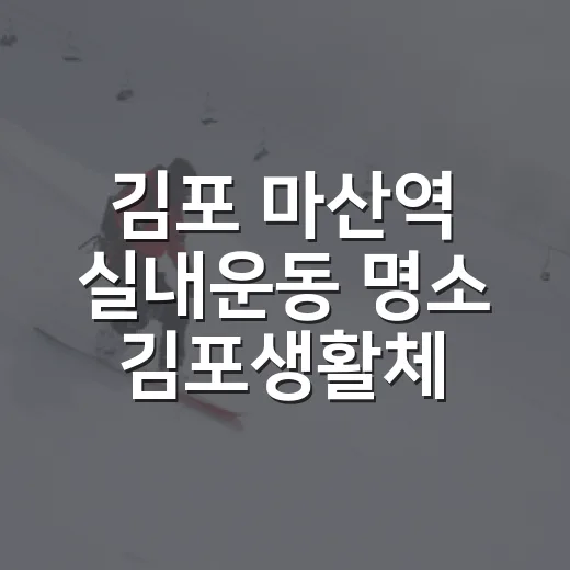 김포 마산역 실내운동 명소 김포생활체육관